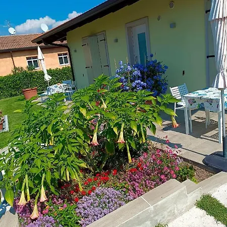 Rossini バルドリーノ